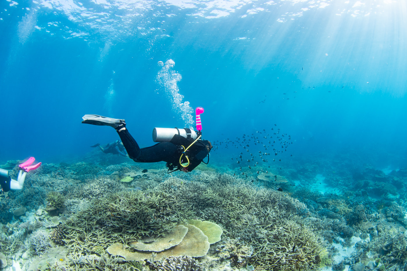 Guests enjoying scuba diving in the Kerama Islands.