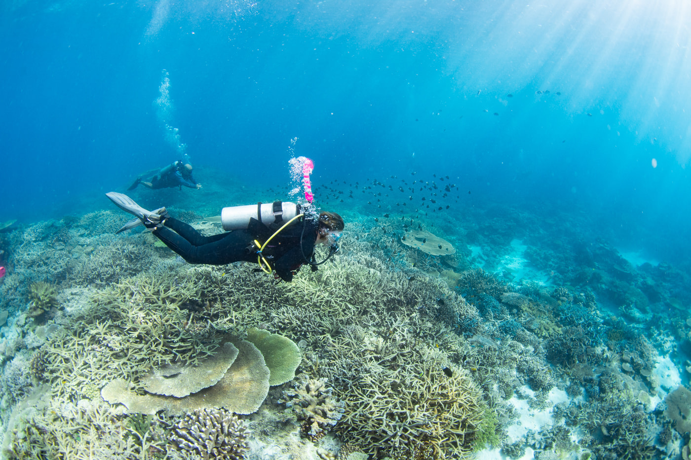 Underwater scenery