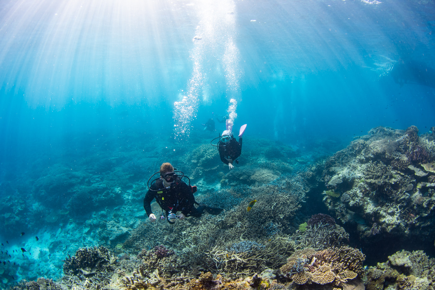 Underwater scenery
