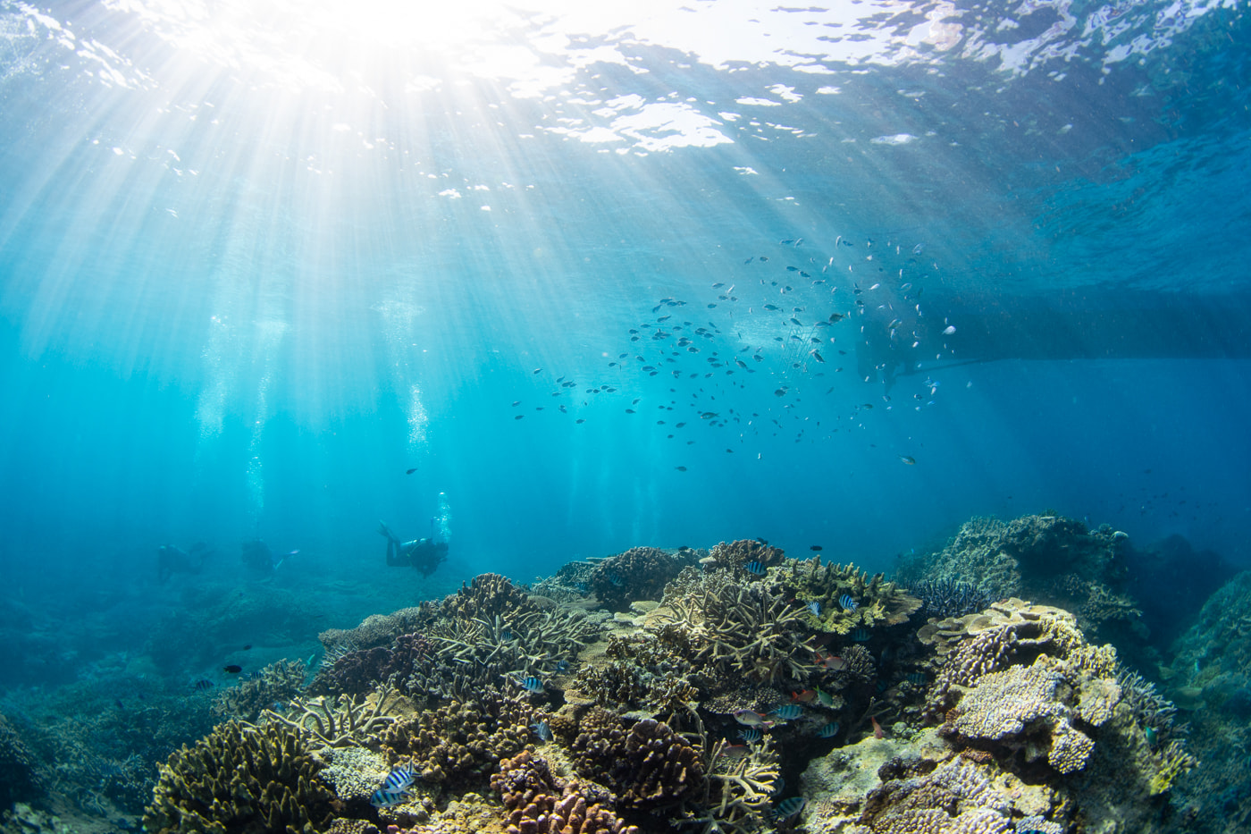 Underwater scenery