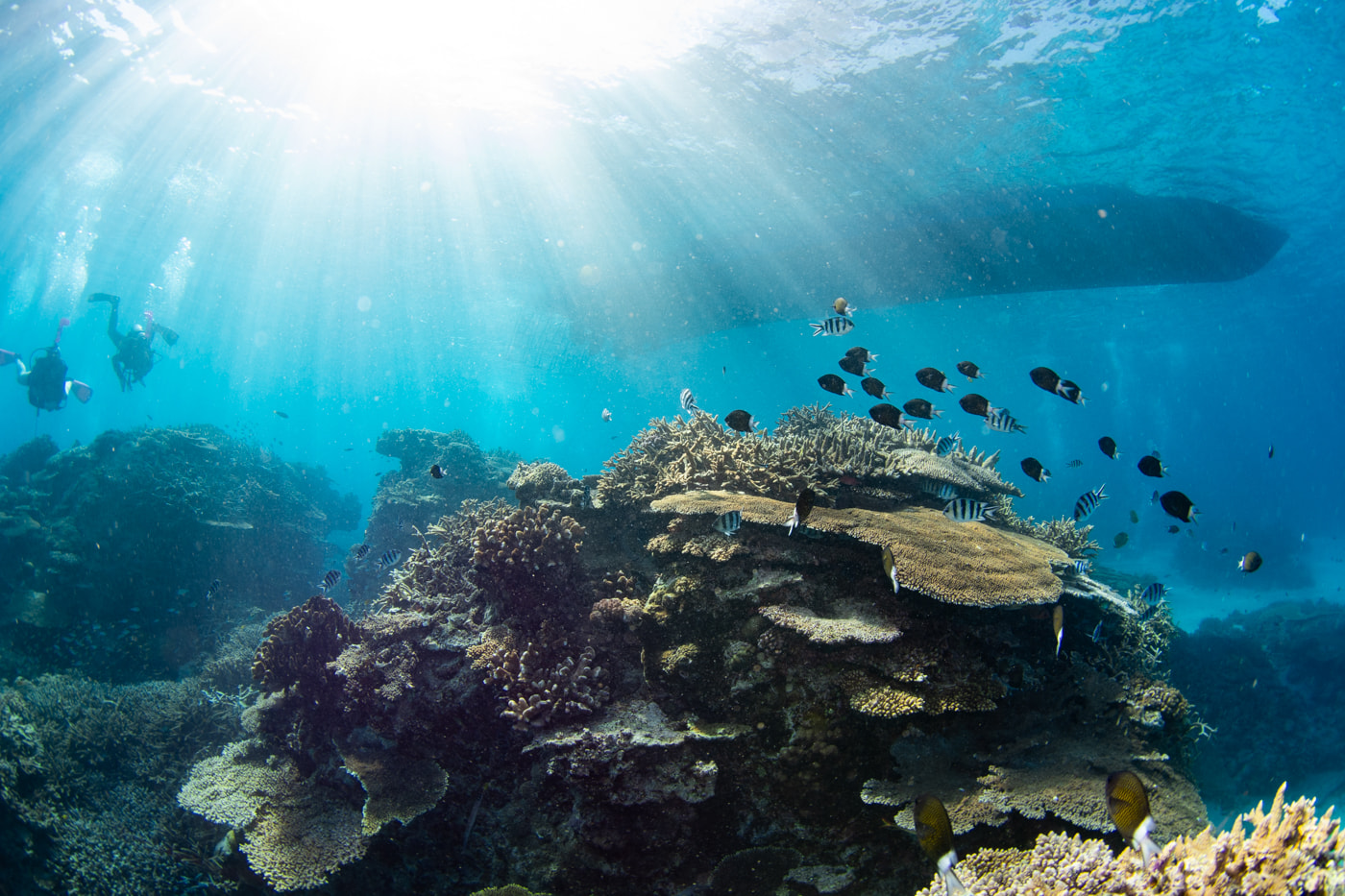 Underwater scenery