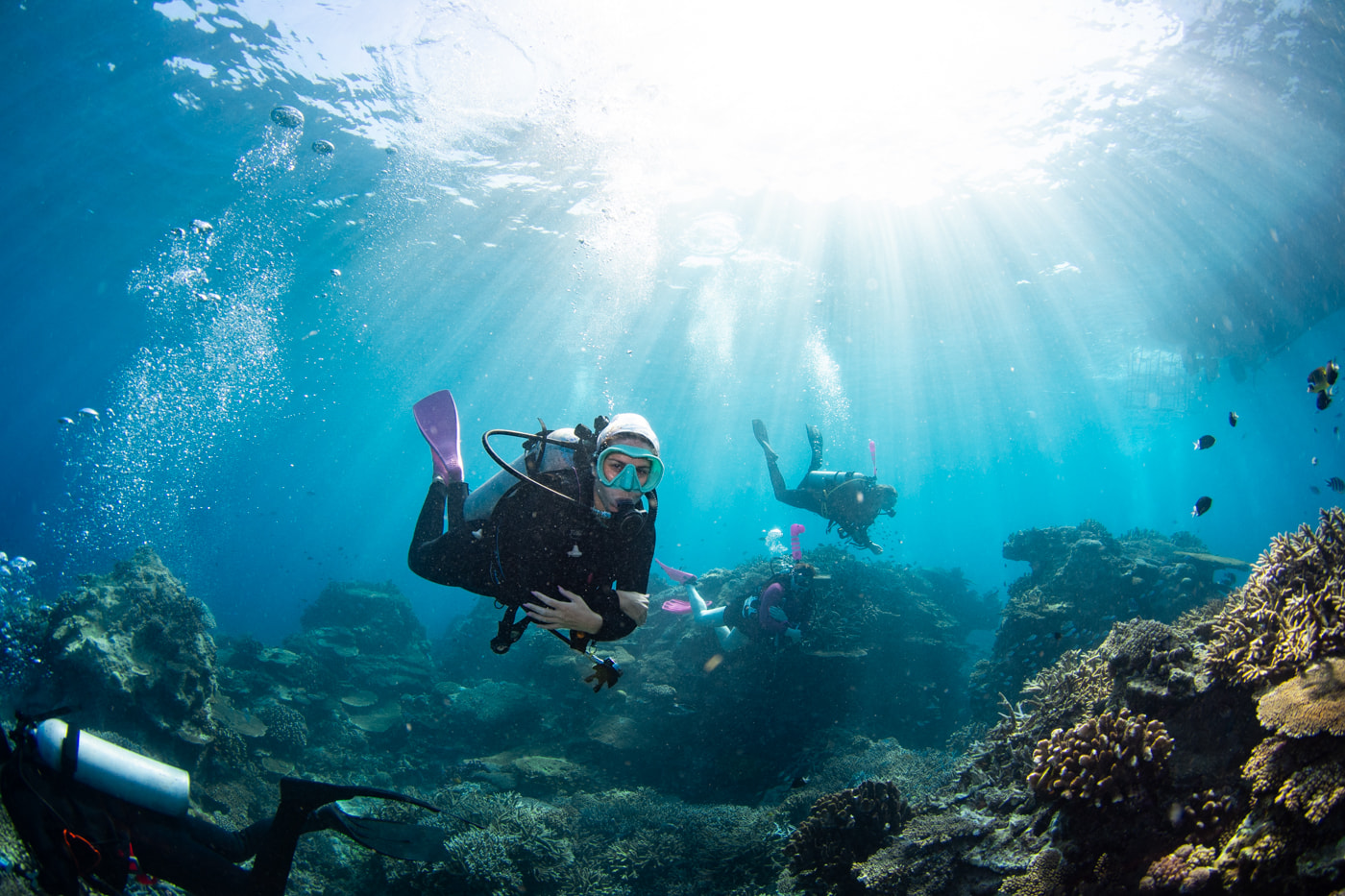 Guests enjoying scuba diving in the Kerama Islands.