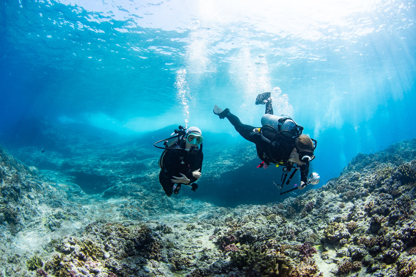 Guests enjoying scuba diving in the Kerama Islands.