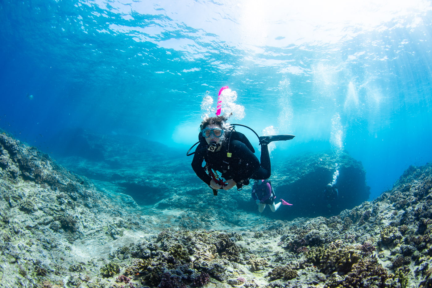 Guests enjoying scuba diving in the Kerama Islands.