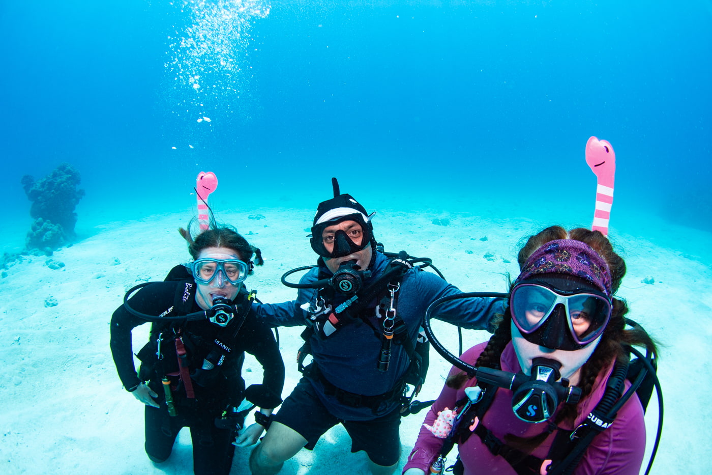 Group photo underwater with our guests.
