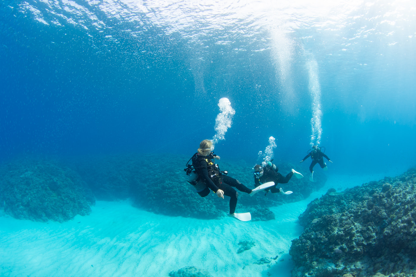 Guests enjoying scuba diving in the Kerama Islands.