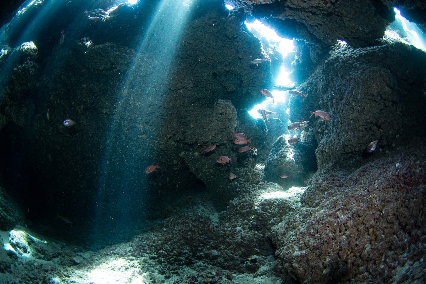 Inside a beautiful cave