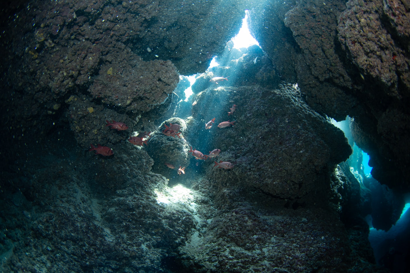 Inside a beautiful cave