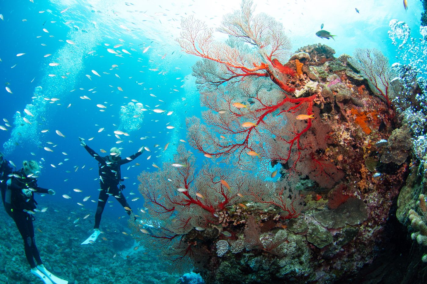 Underwater scenery