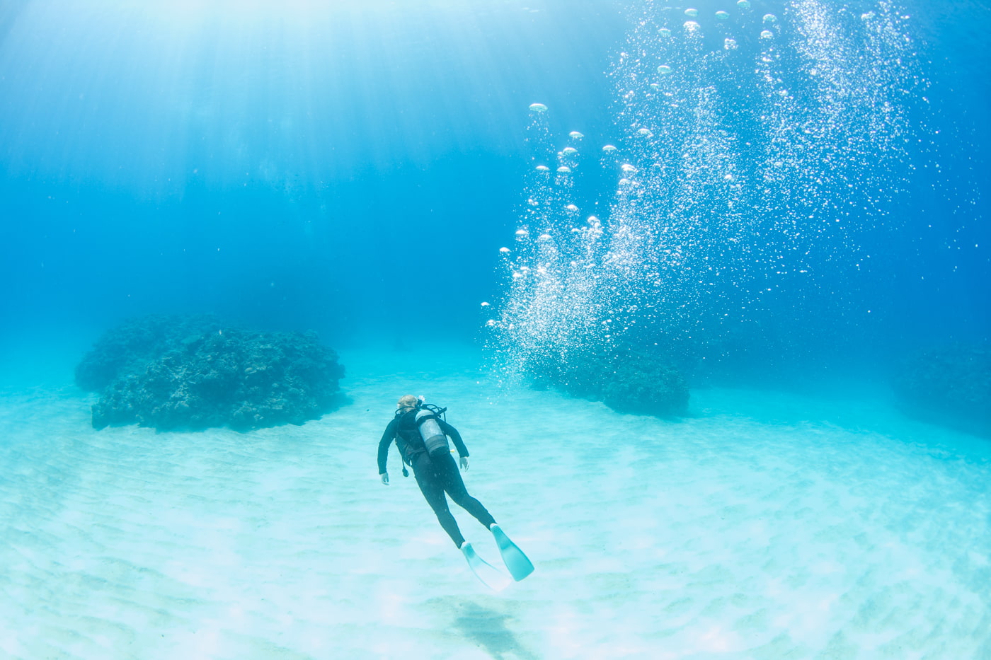 Guests enjoying scuba diving in the Kerama Islands.