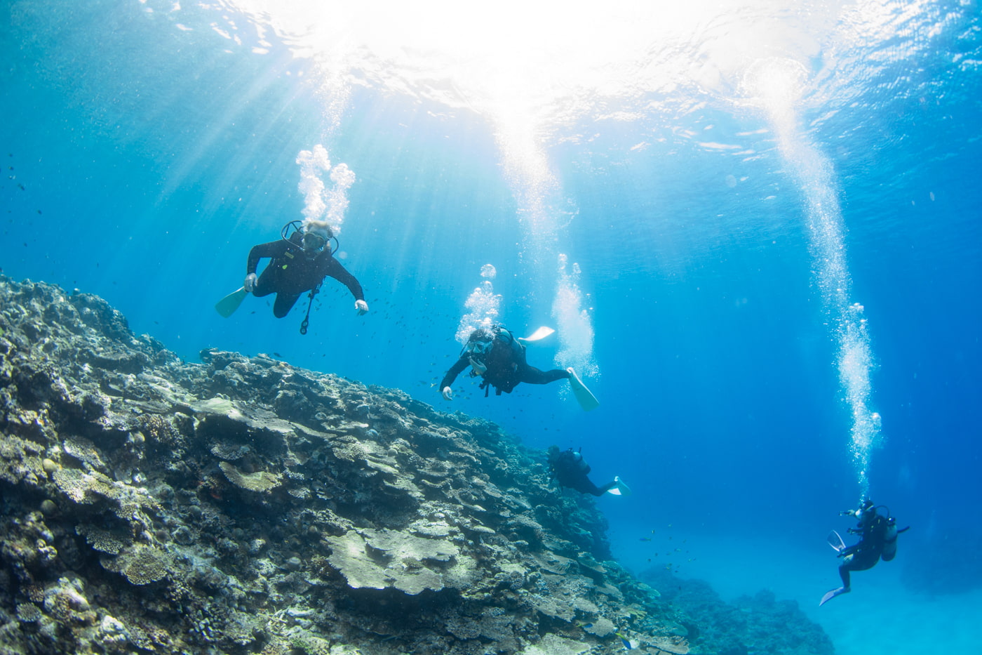 Guests enjoying scuba diving in the Kerama Islands.