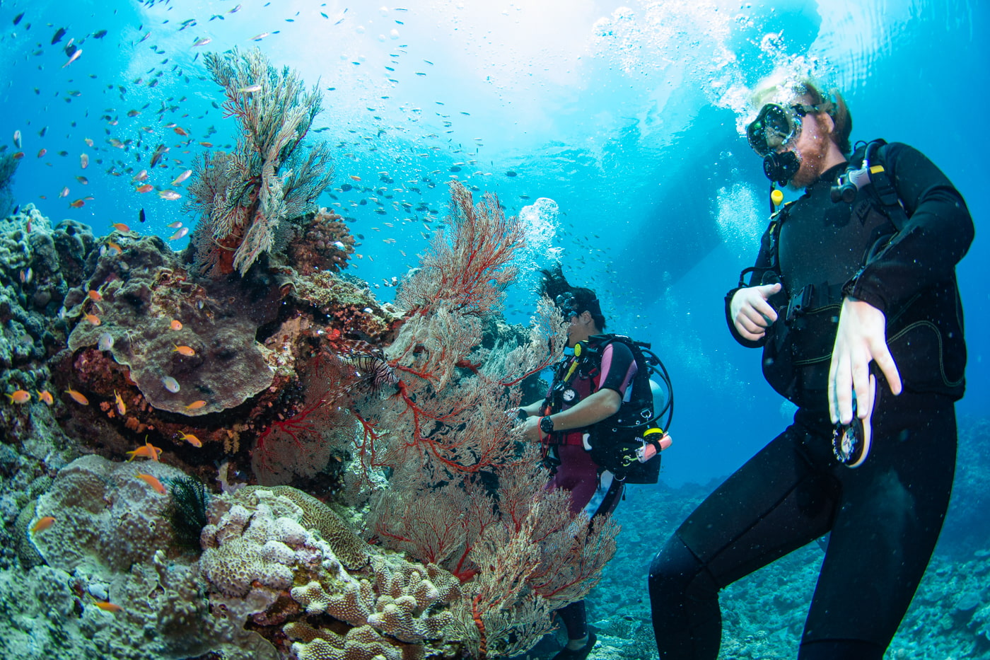Beautiful coral reefs