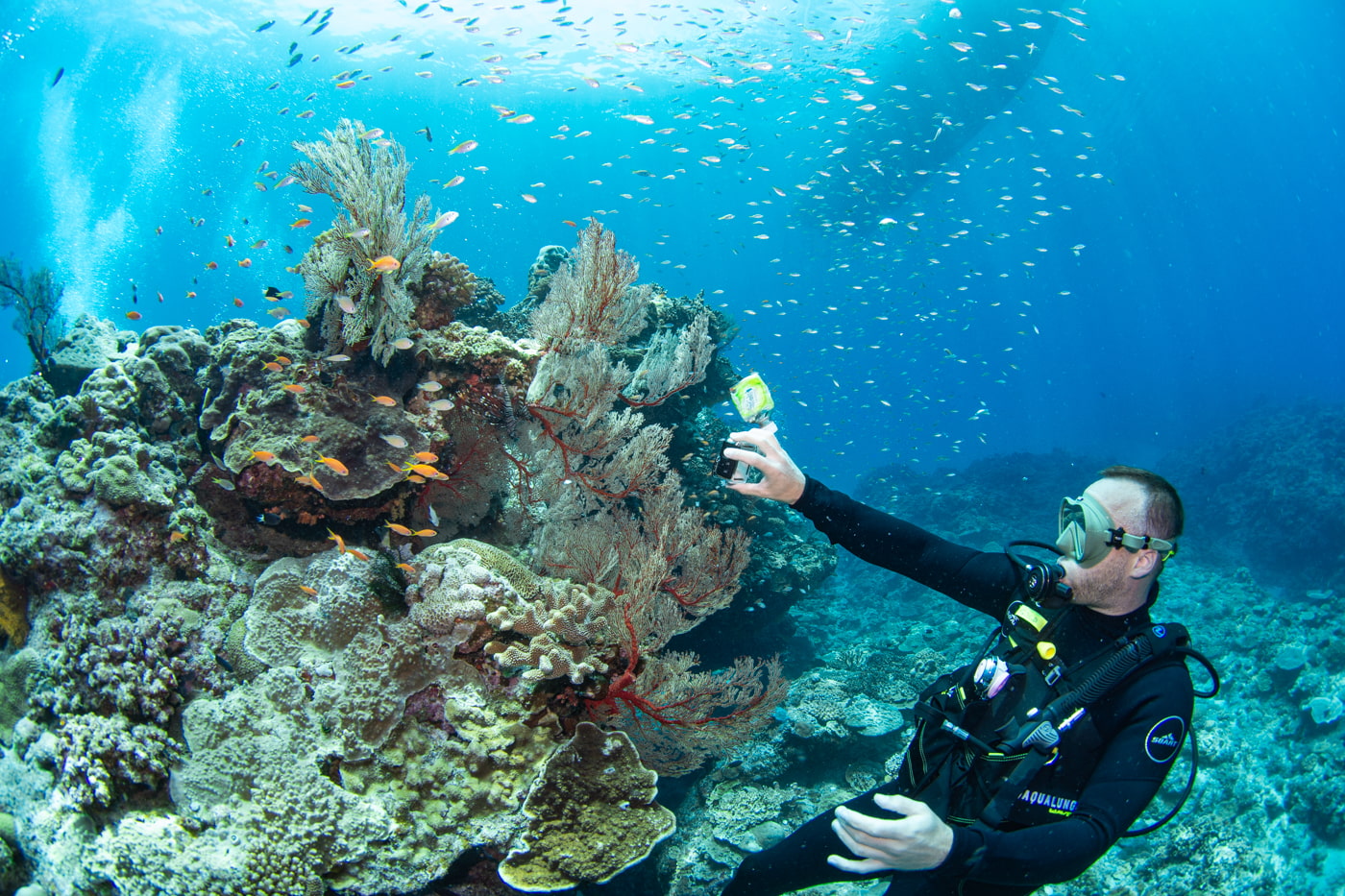 Beautiful underwater scenery