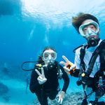 Kerama Diving Tour with Guests from the Netherlands