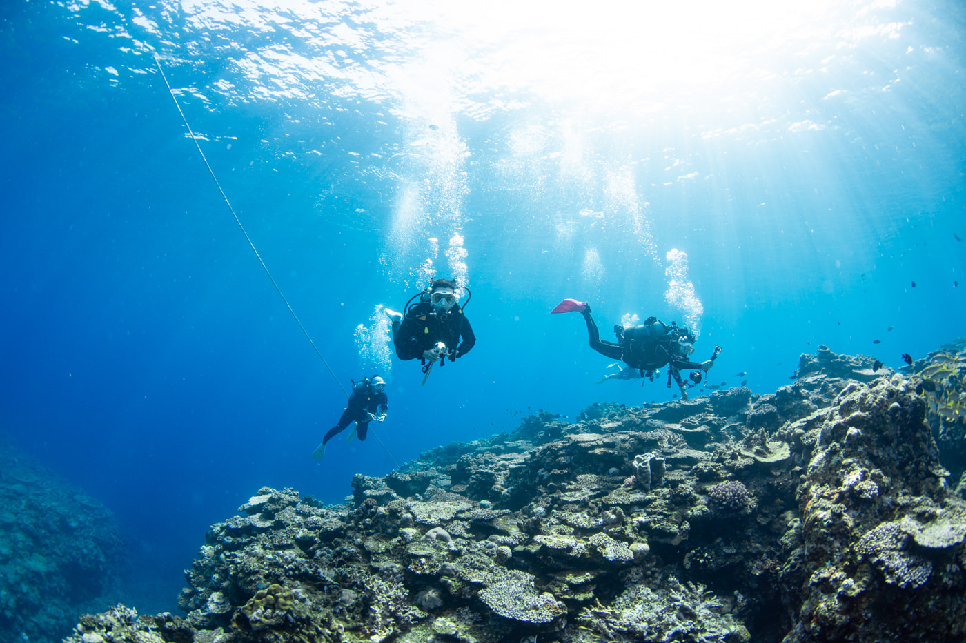 Underwater scenery