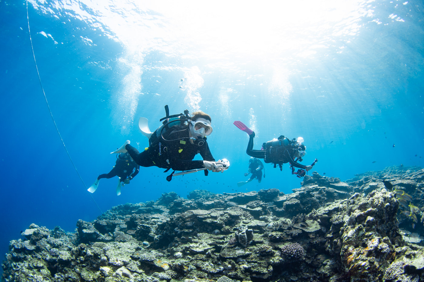 Guests enjoying scuba diving in the Kerama Islands.