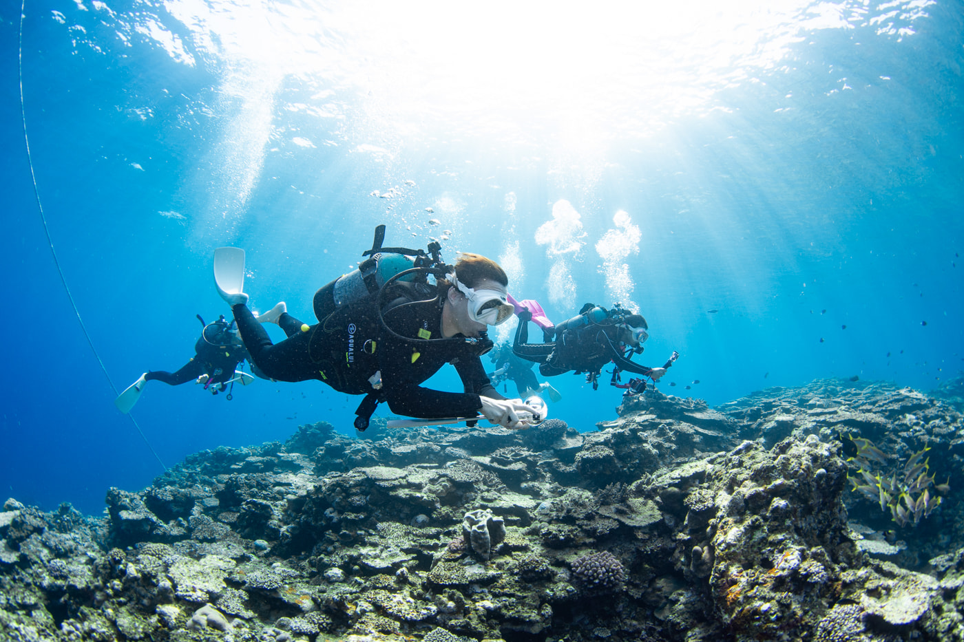 Guests enjoying scuba diving in the Kerama Islands.