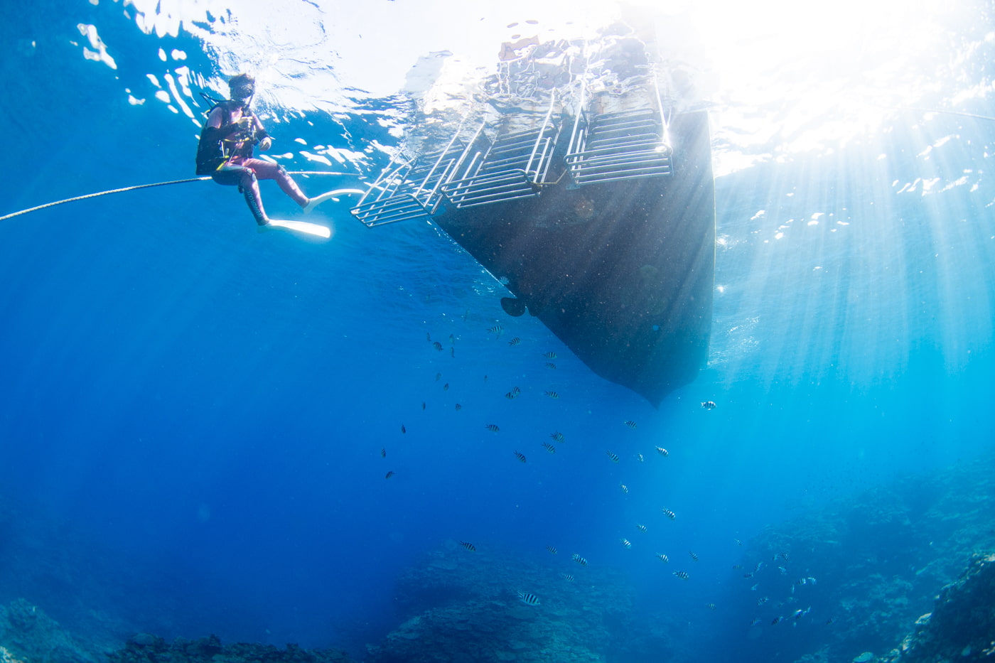Underwater scenery