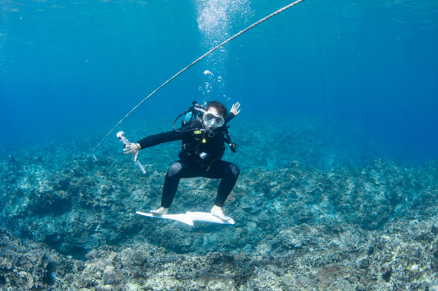 Guests enjoying scuba diving in the Kerama Islands.