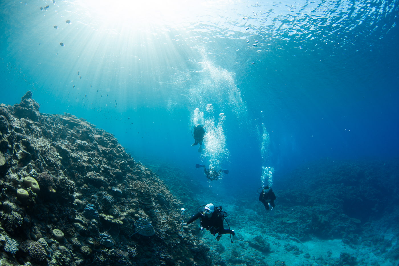 Underwater scenery