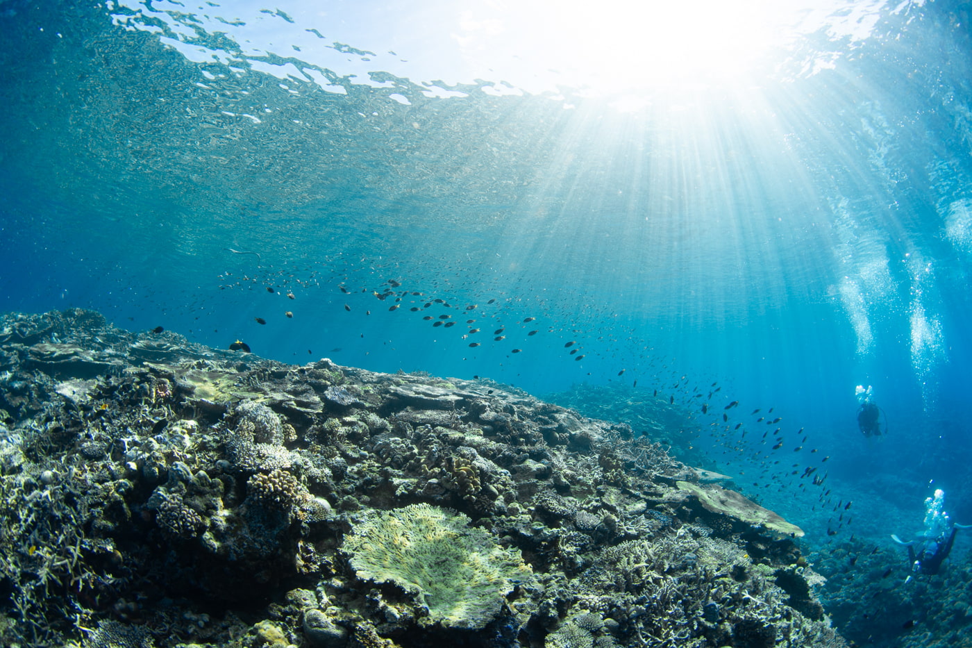 Underwater scenery