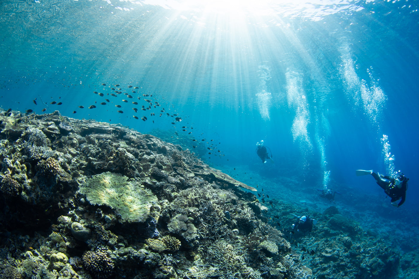 Underwater scenery