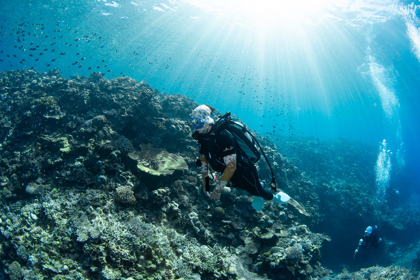 Guests enjoying scuba diving in the Kerama Islands.