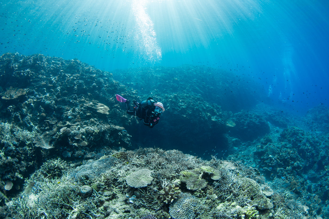 Guests enjoying scuba diving in the Kerama Islands.
