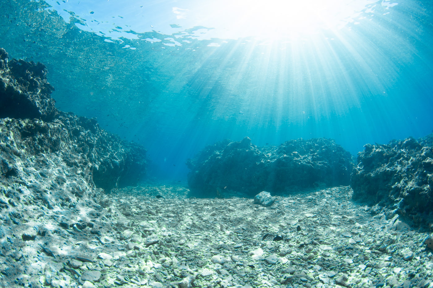 Underwater scenery