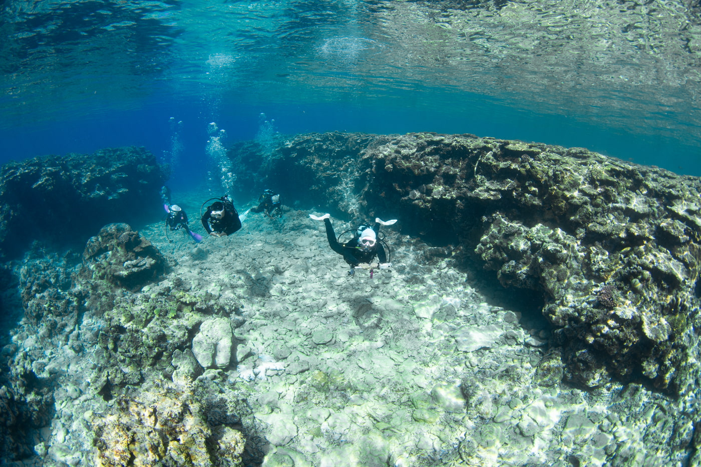 Underwater scenery