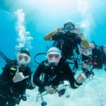 Diving in the Kerama Islands with Guests from Spain and Thailand