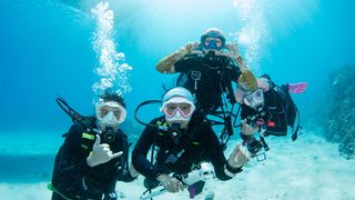 Diving in the Kerama Islands with Guests from Spain and Thailand