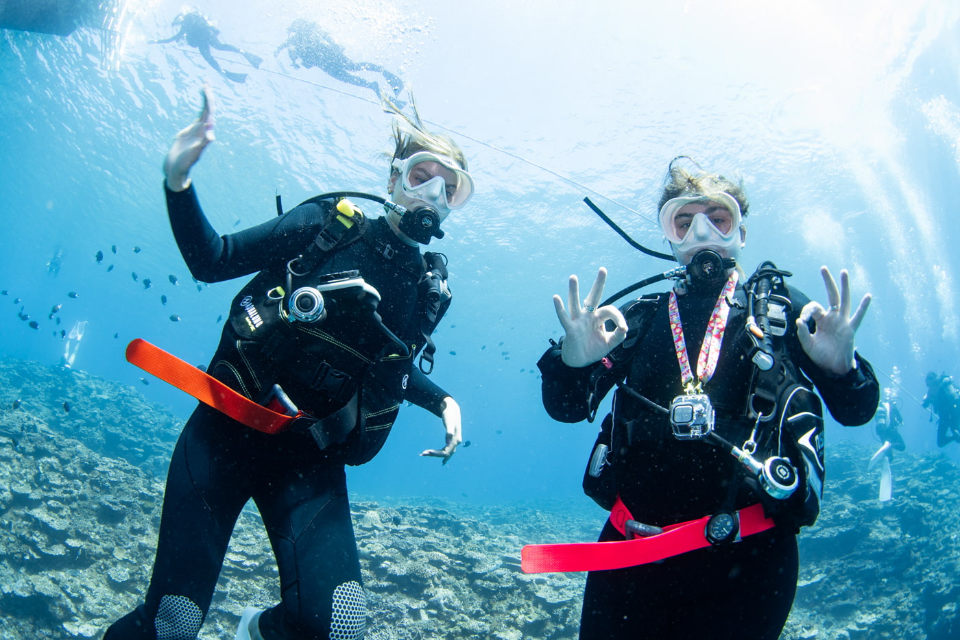 Guests enjoying scuba diving in the Kerama Islands.
