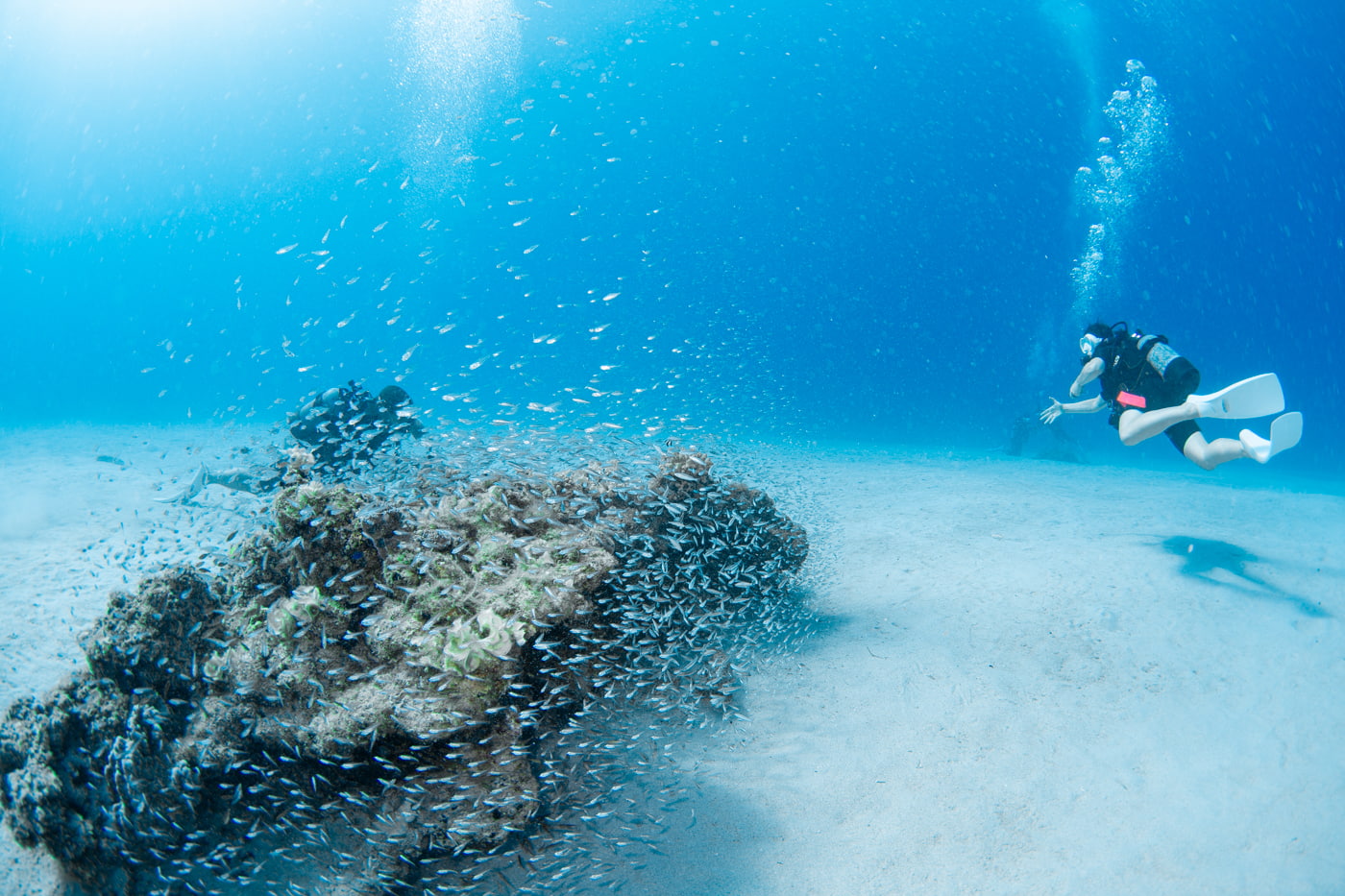 Underwater scenery