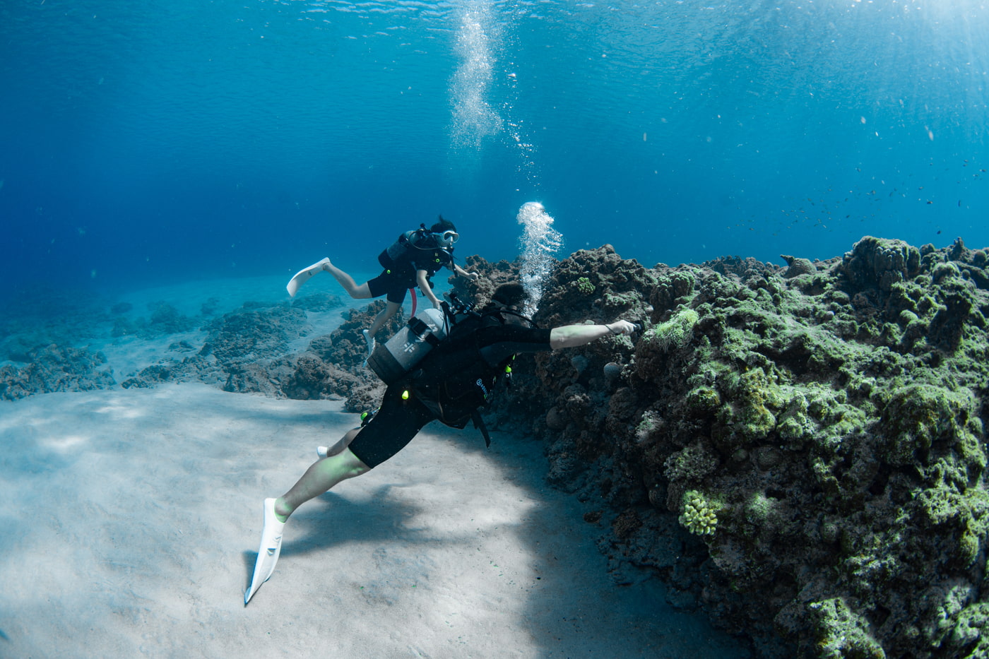 Guests enjoying scuba diving in the Kerama Islands.