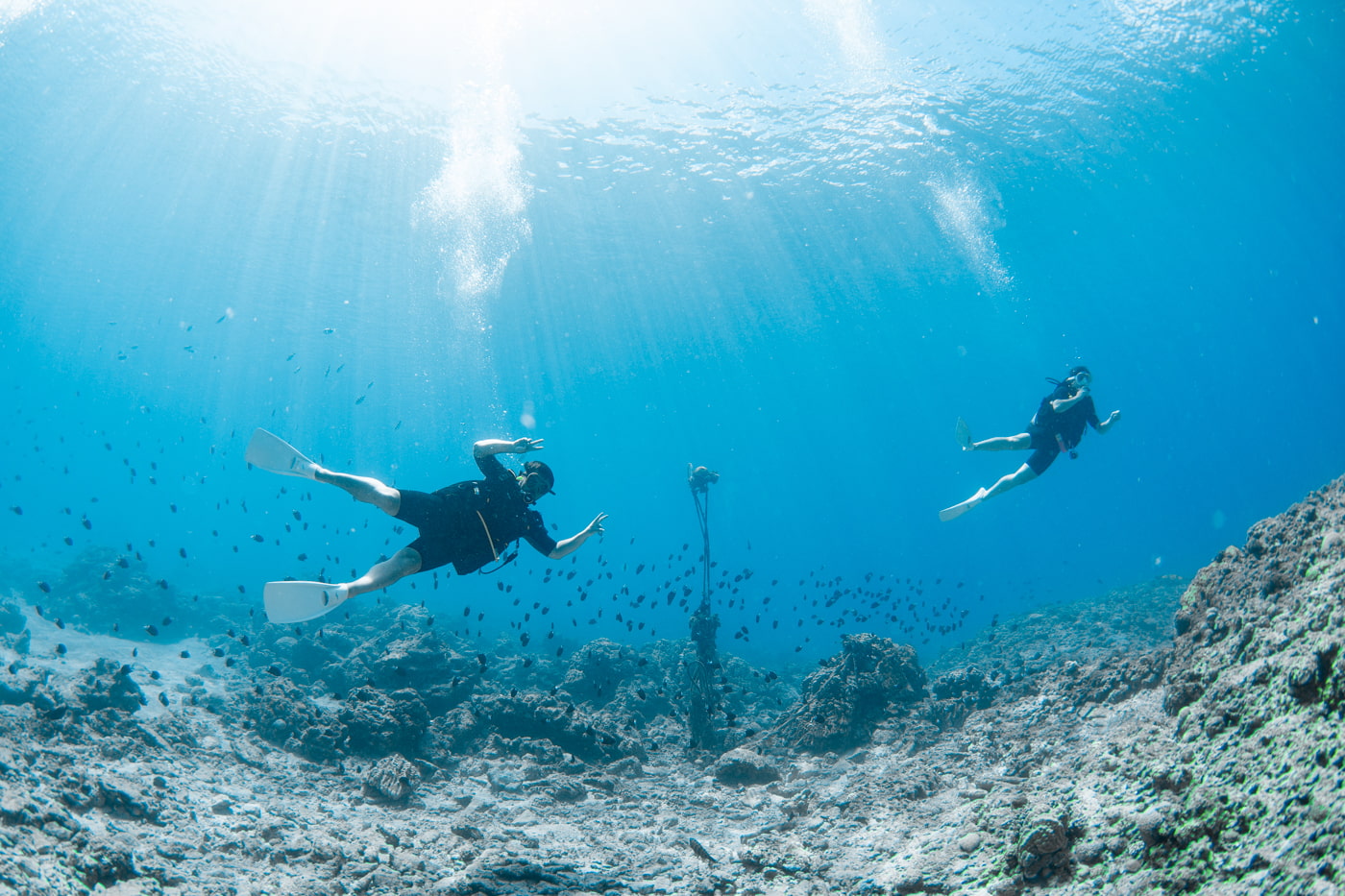 Guests enjoying scuba diving in the Kerama Islands.