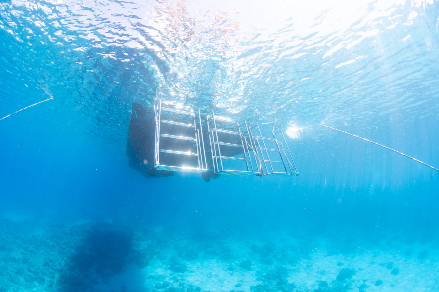 Underwater scenery