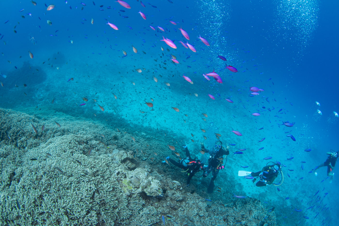 Underwater scenery