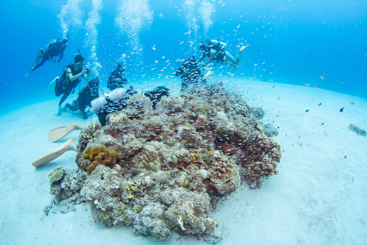 Underwater scenery