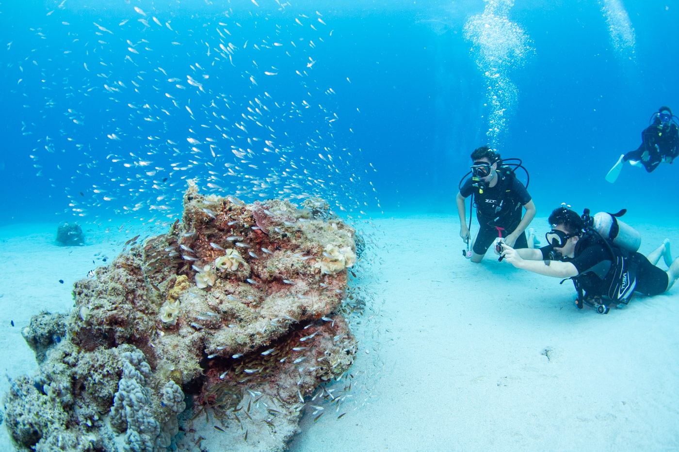 Underwater scenery