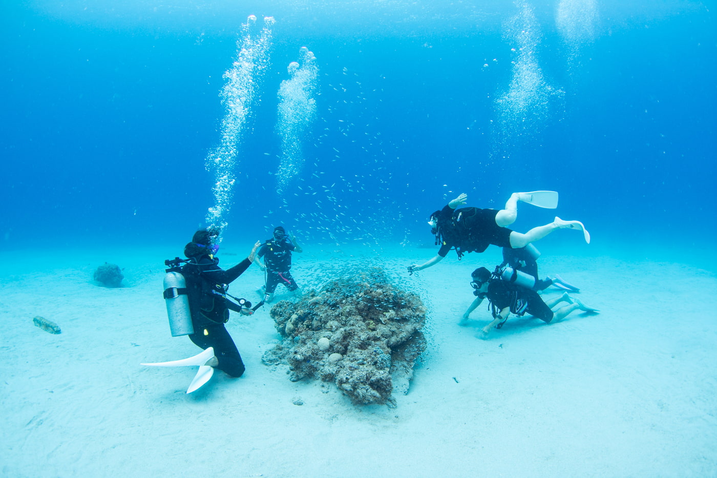 Underwater scenery
