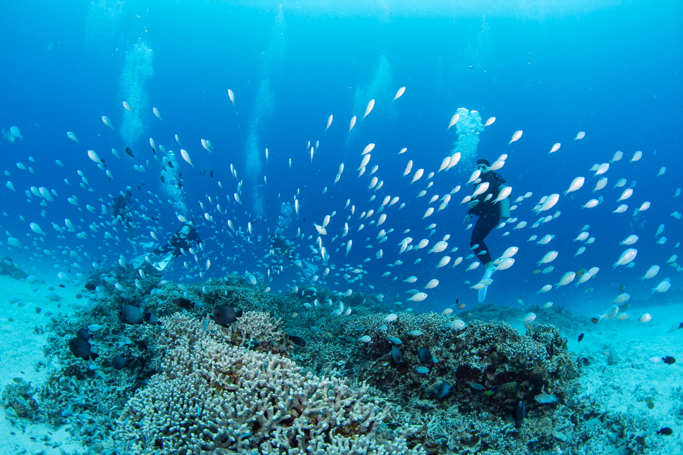 Underwater scenery