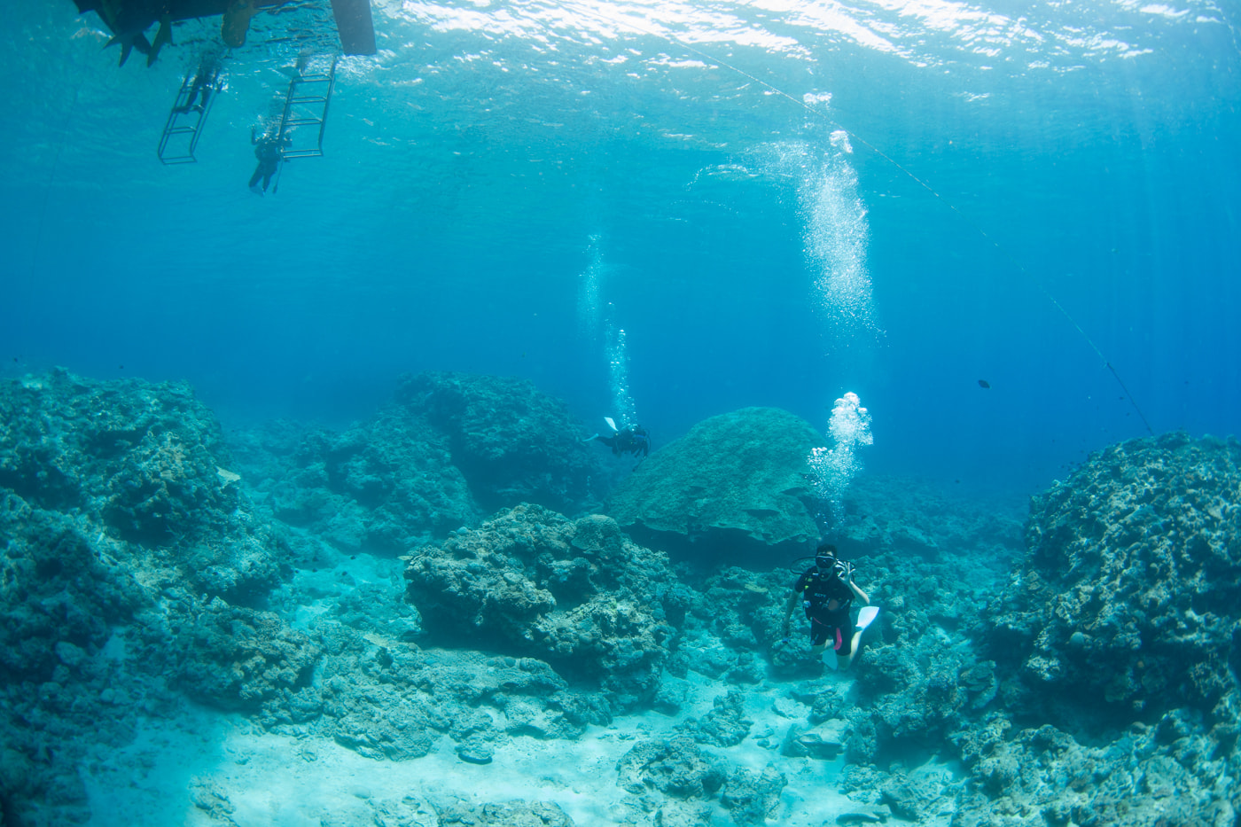 Underwater scenery