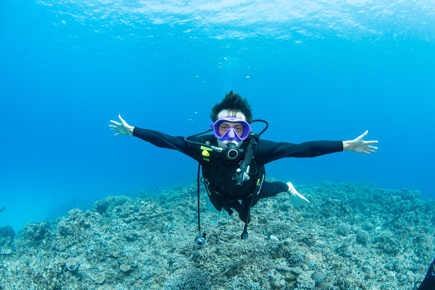 Guests enjoying scuba diving in the Kerama Islands.