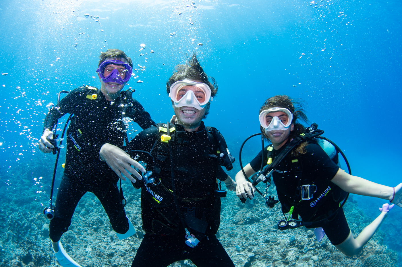 Guests enjoying scuba diving in the Kerama Islands.