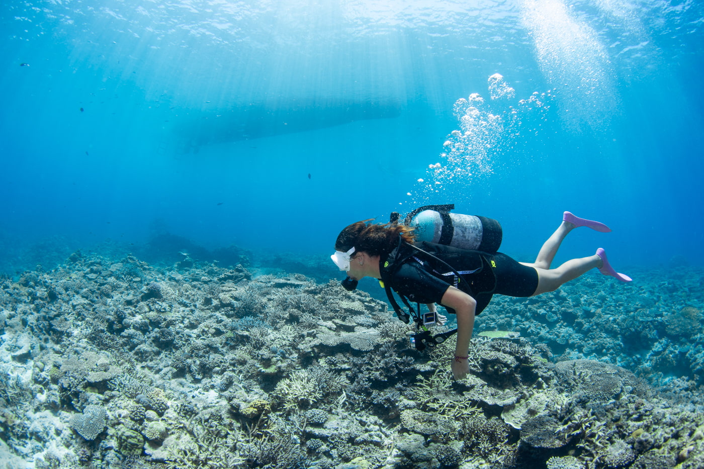 Guests enjoying scuba diving in the Kerama Islands.