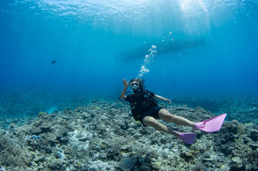 Guests enjoying scuba diving in the Kerama Islands.