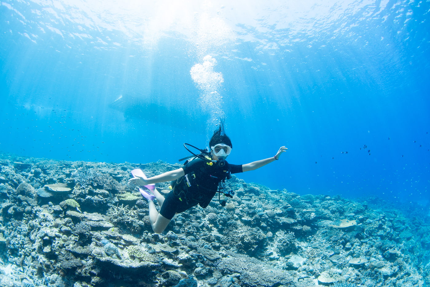 Guests enjoying scuba diving in the Kerama Islands.