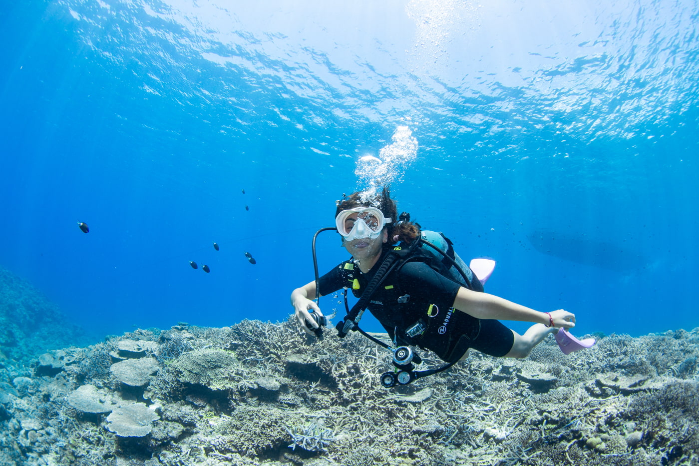 Guests enjoying scuba diving in the Kerama Islands.