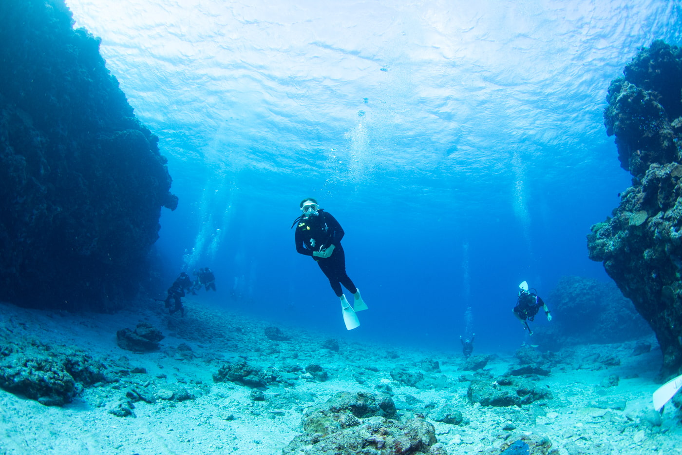 Underwater scenery